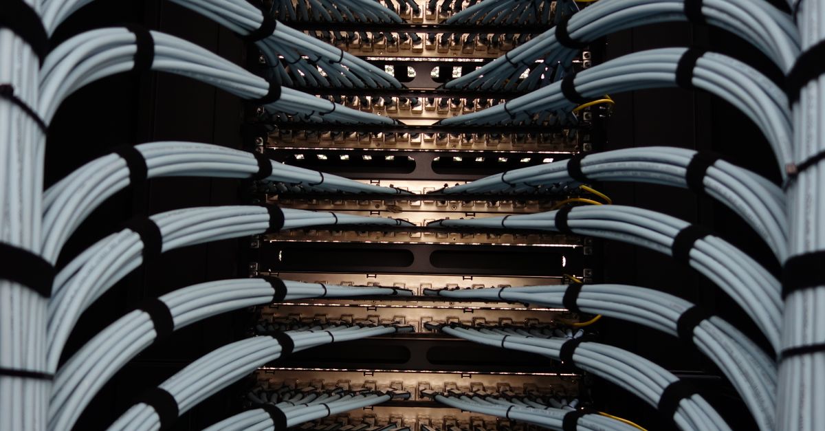Same model, same tasks, triple the cost: the harness decides